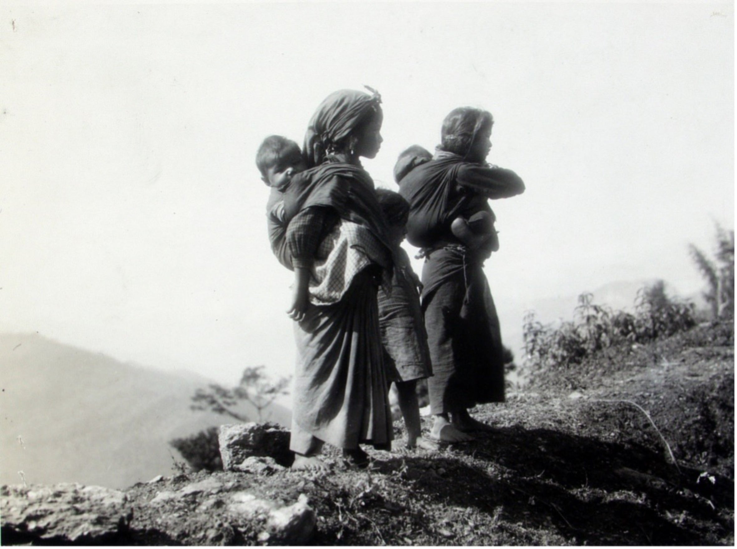 Glitrende kritikker: "Et praktverk i både form og innhold"