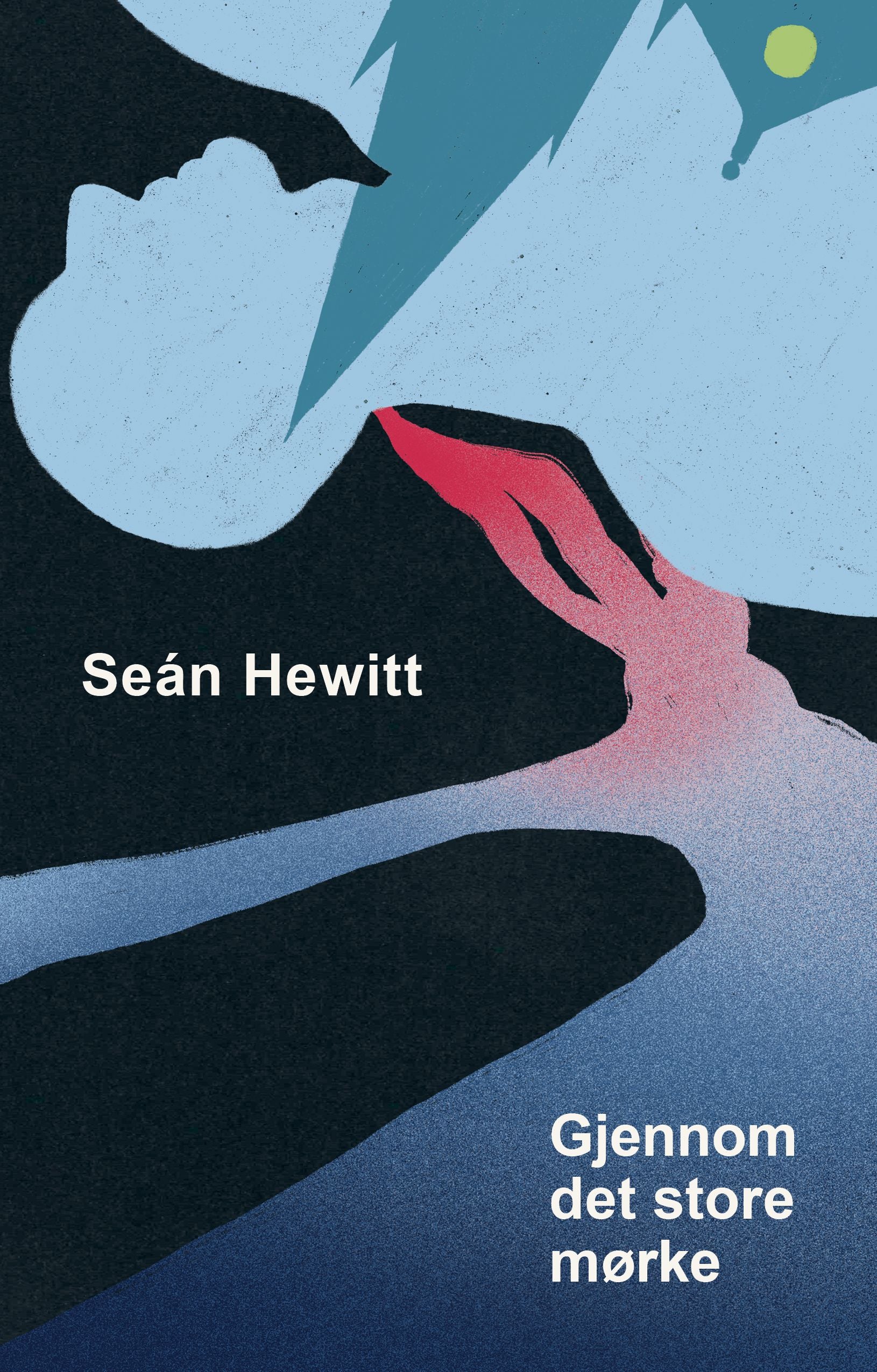 Gjennom det store mørke: memoarer