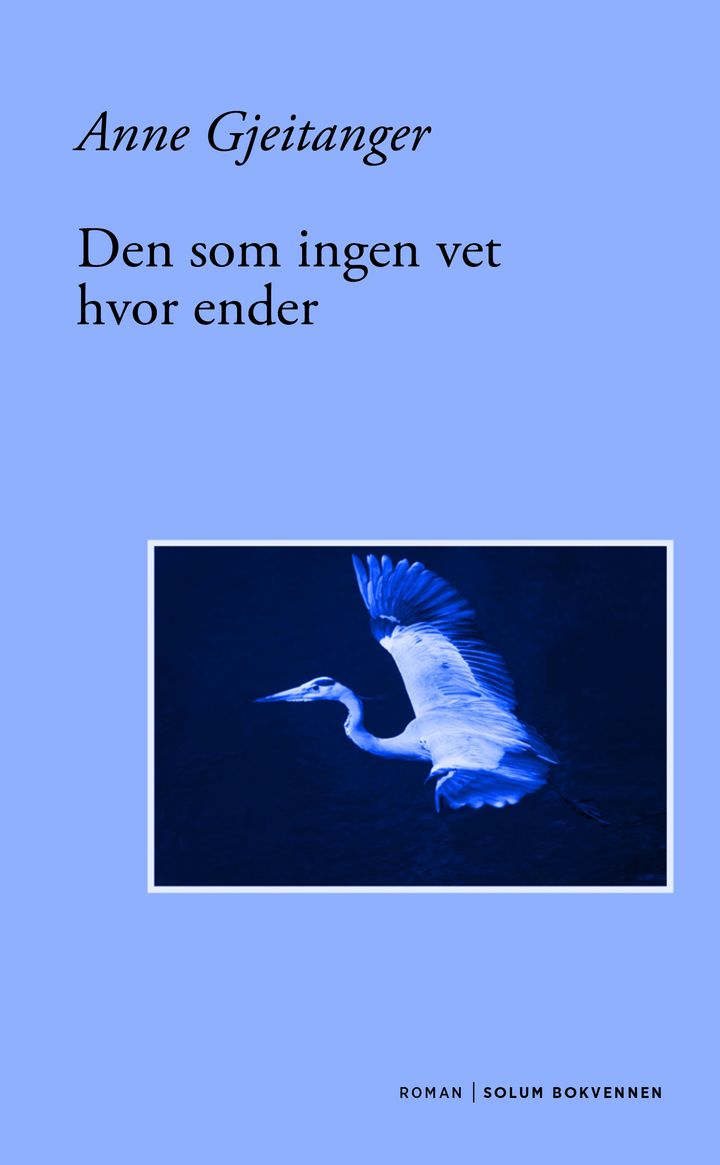 Den som ingen vet hvor ender: roman