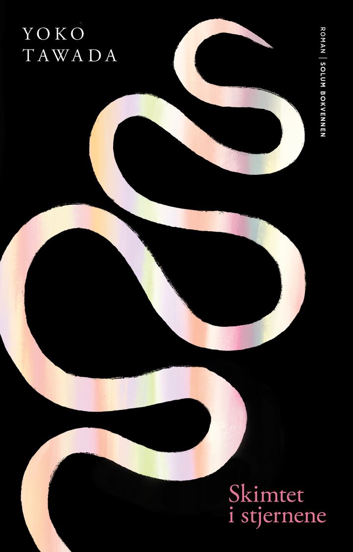 Skimtet i stjernene: roman