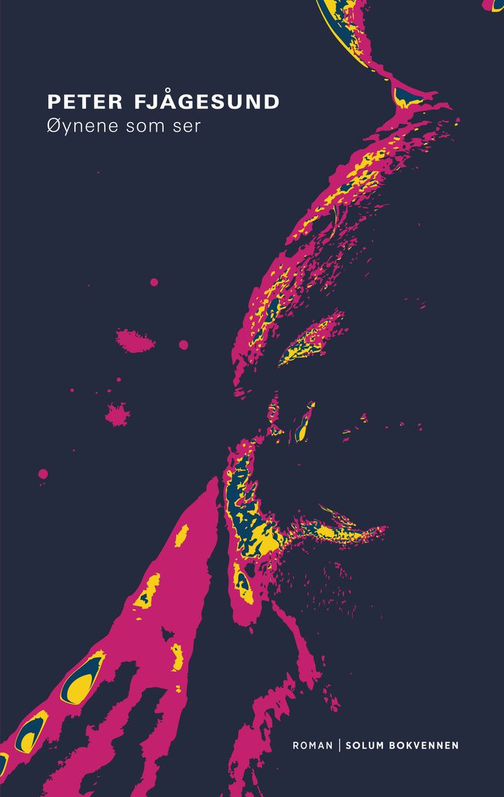 Øynene som ser: roman