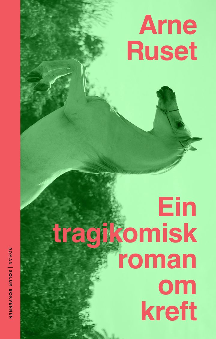Ein tragikomisk roman om kreft