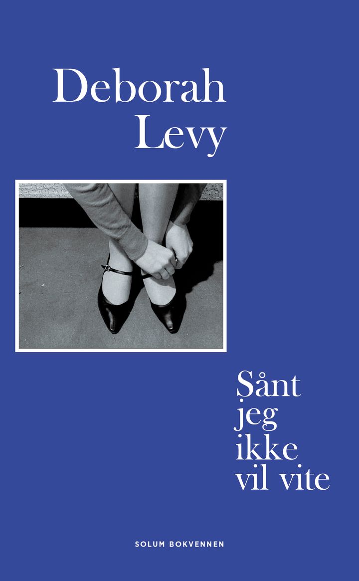 Sånt jeg ikke vil vite: om å skrive