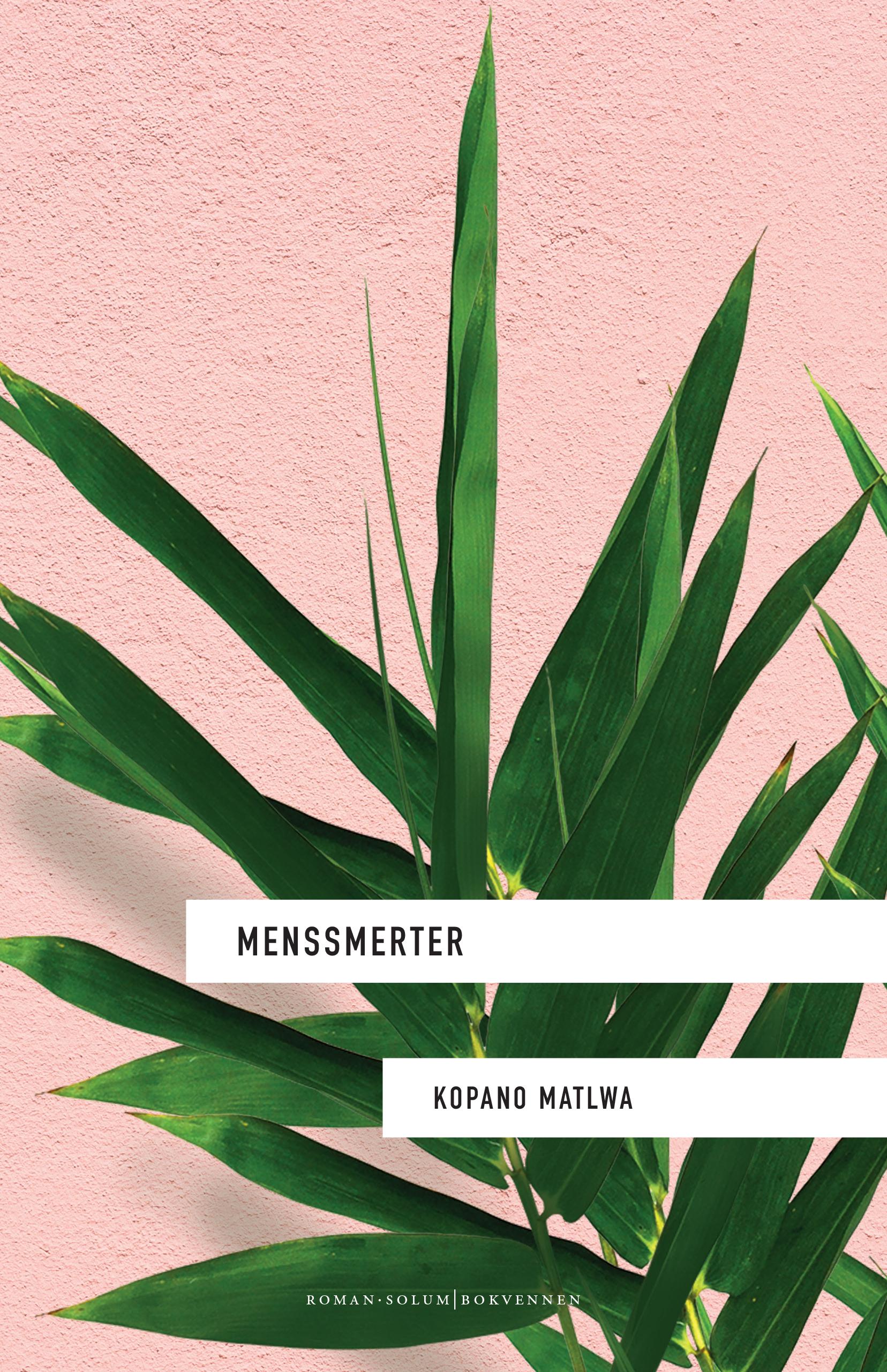 Menssmerter: roman