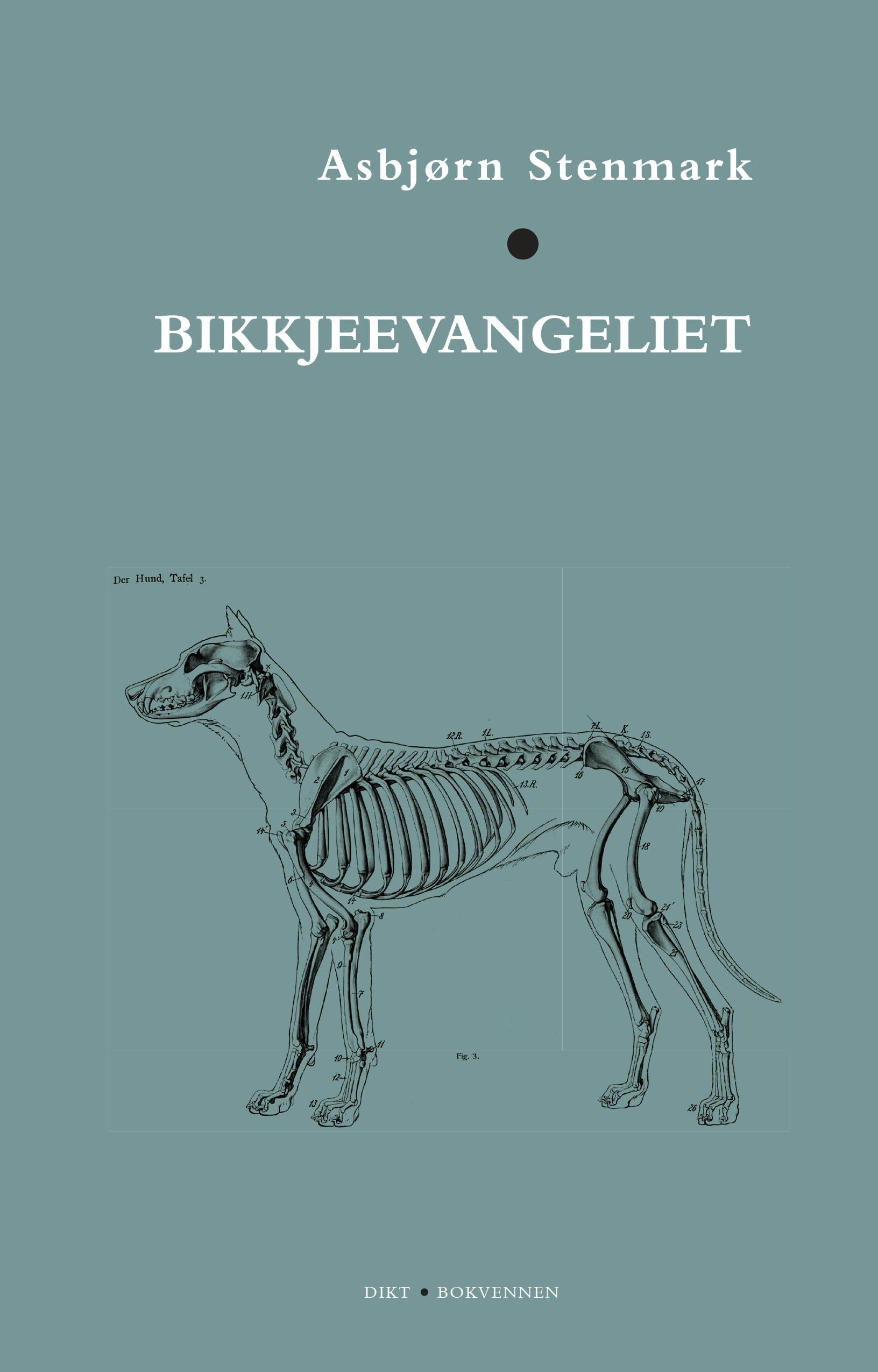 Bikkjeevangeliet: dikt