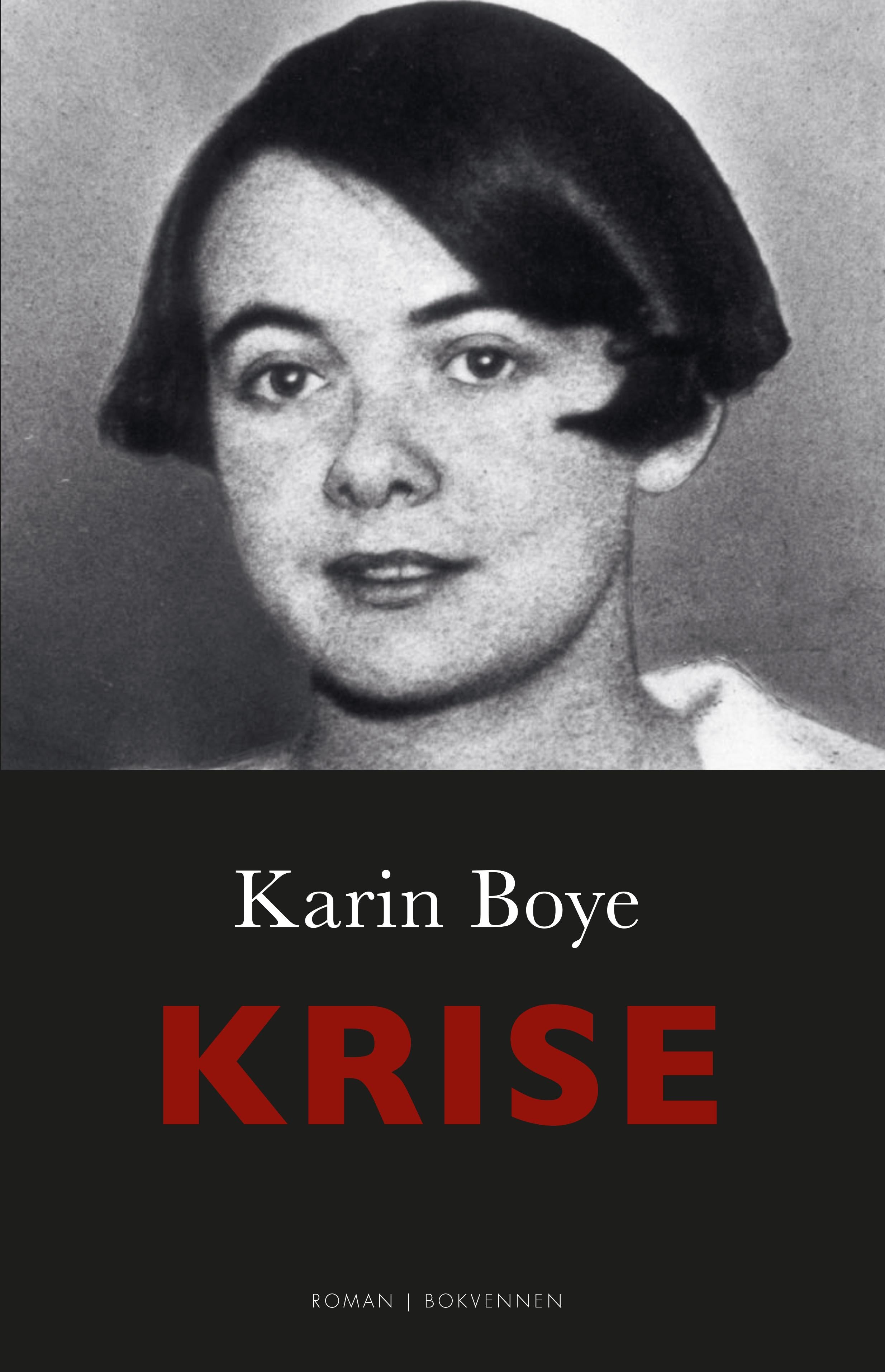 Krise: roman