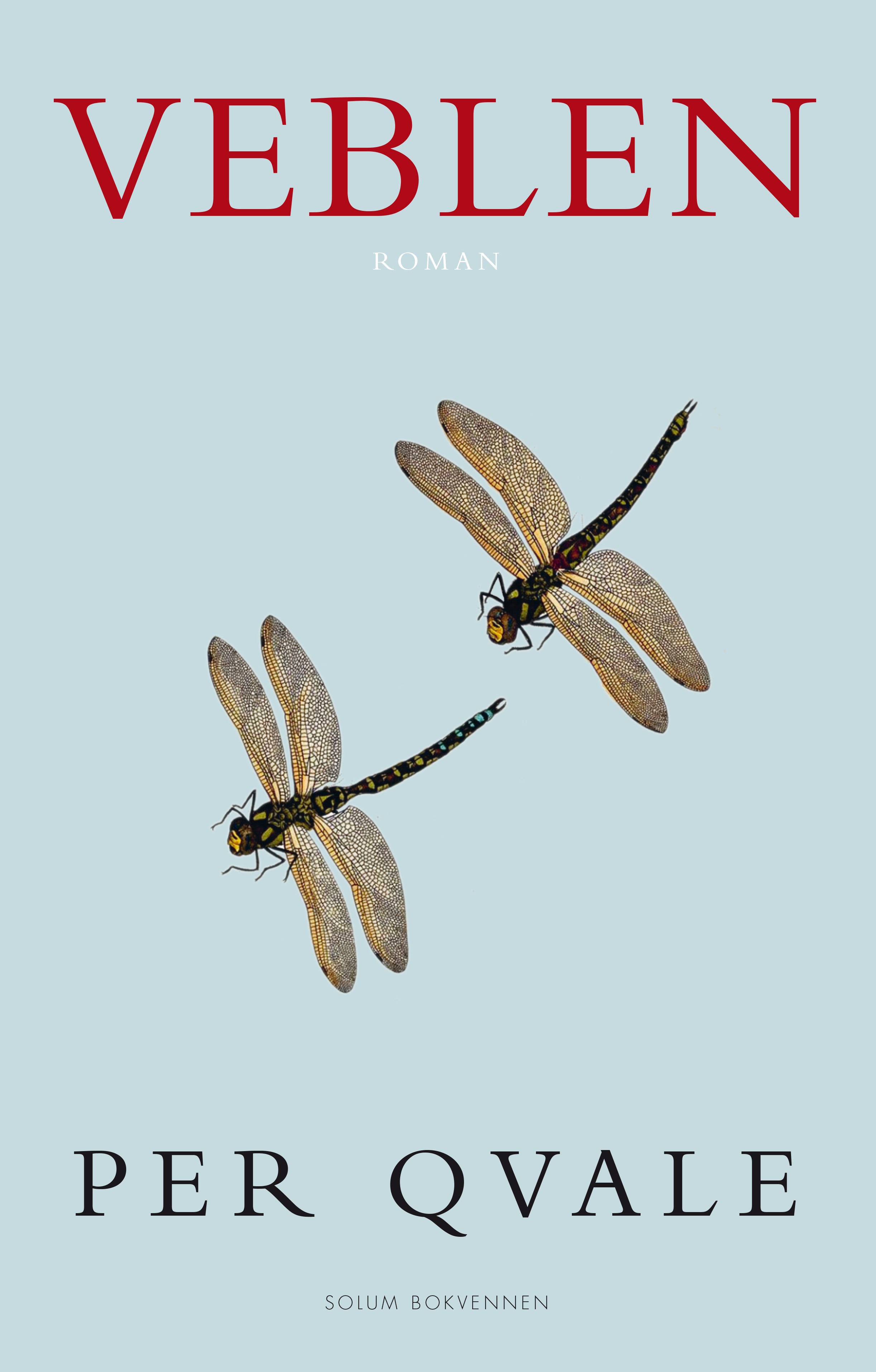 Veblen: om det ugjenkallelige : roman