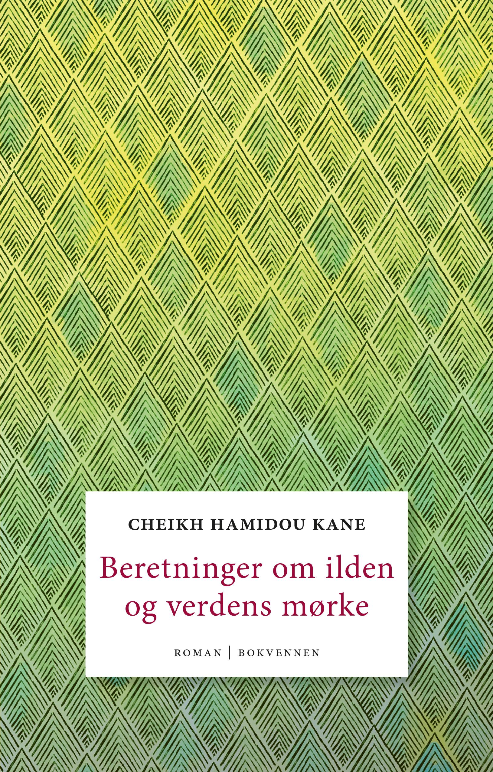 Beretninger om ilden og verdens mørke: roman