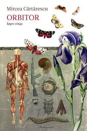 Orbitor: høyre vinge