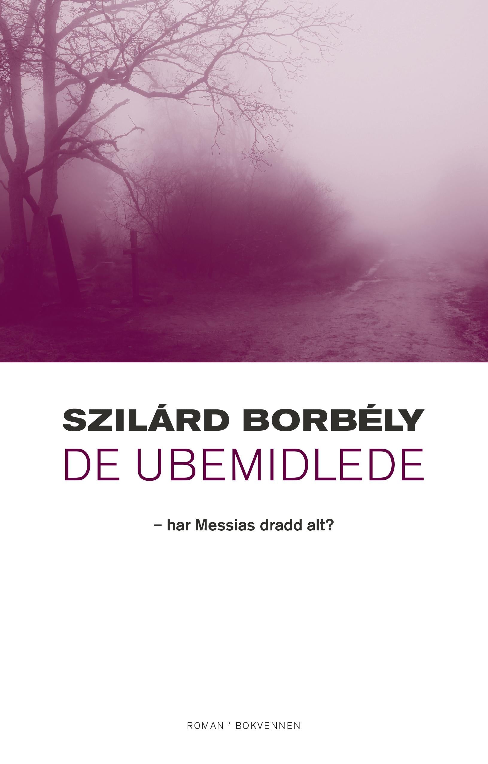 De ubemidlede: har Messias dradd alt? : roman