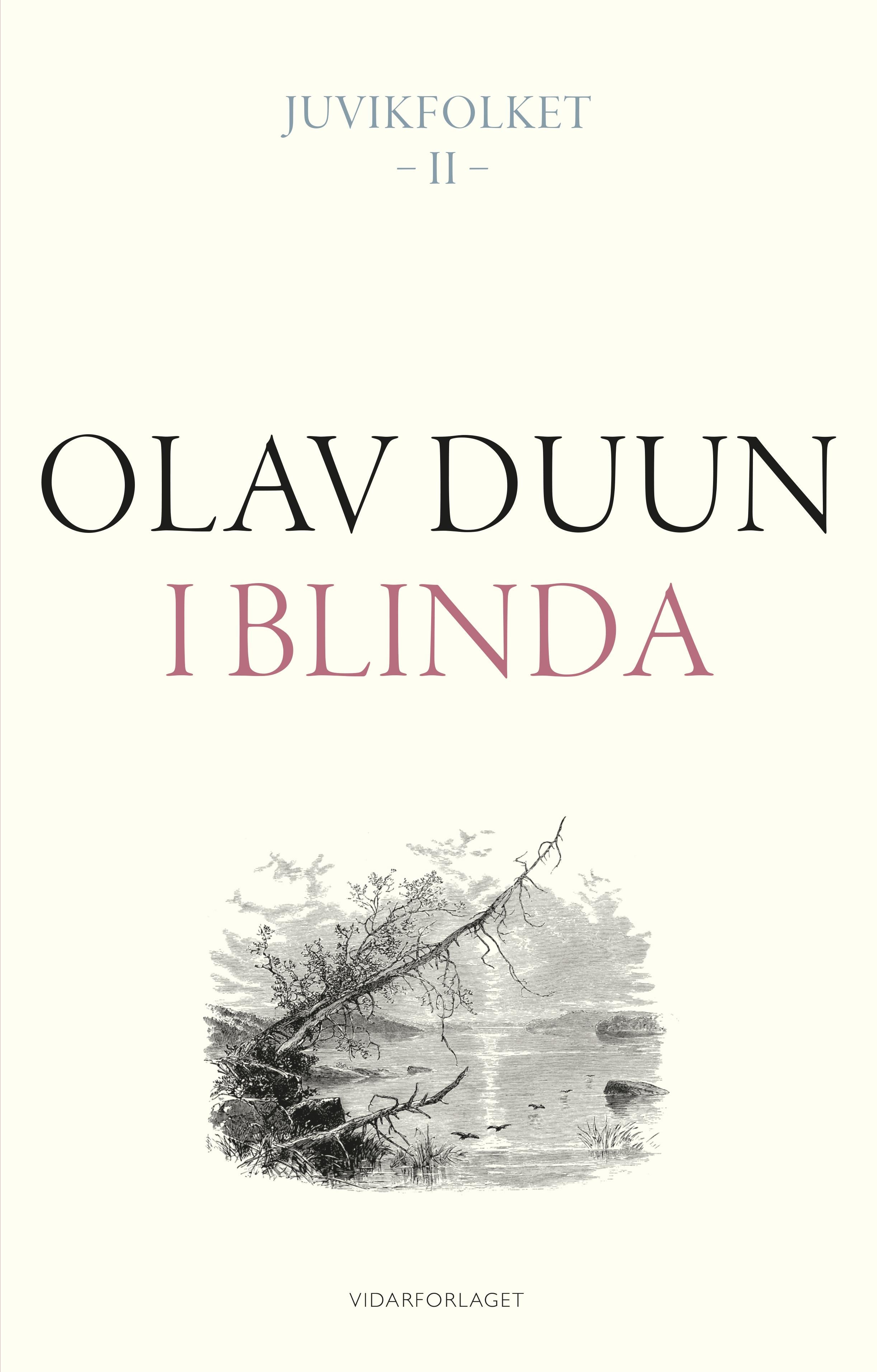 I blinda: roman