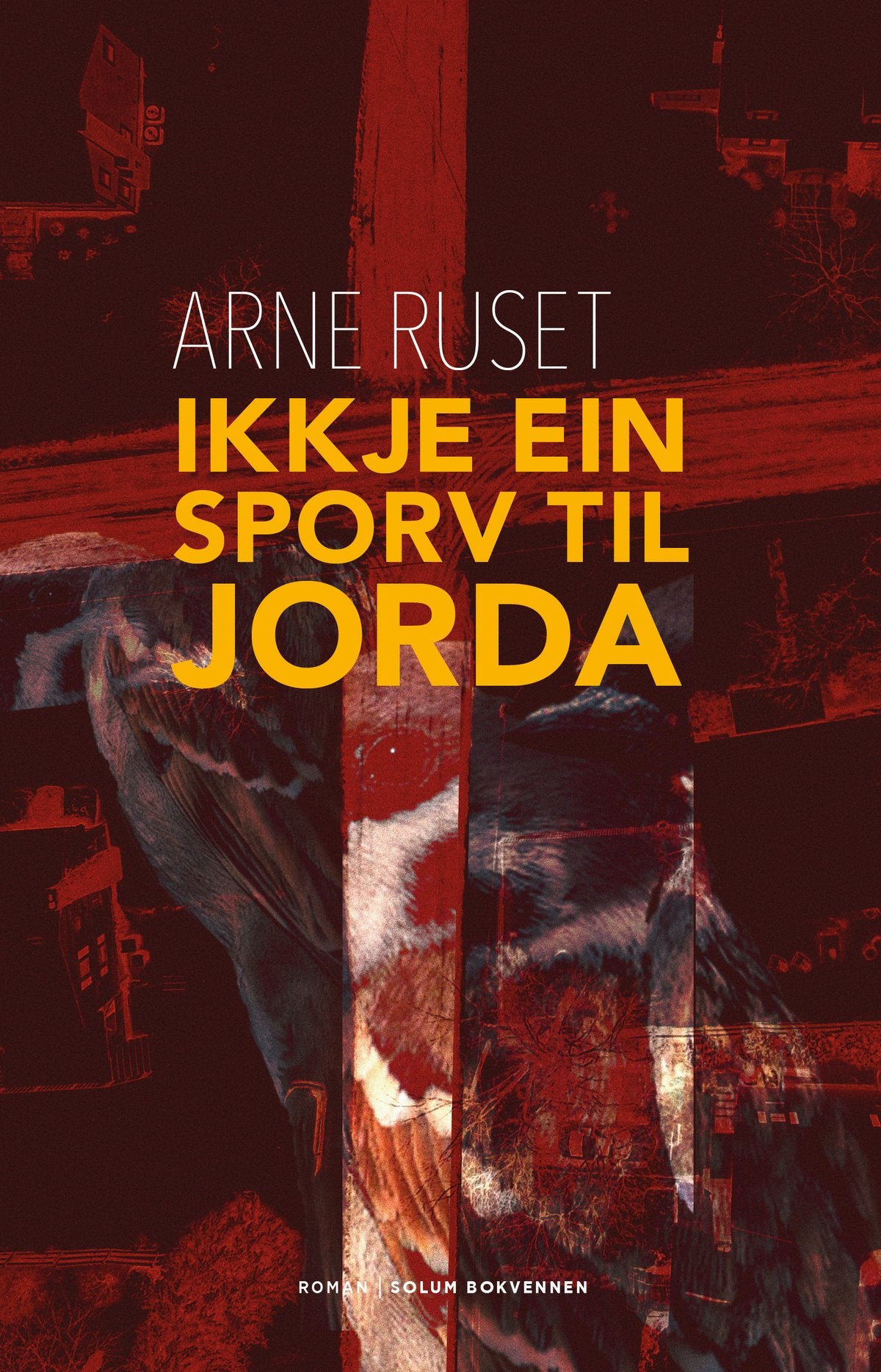 Ikkje ein sporv til jorda: roman