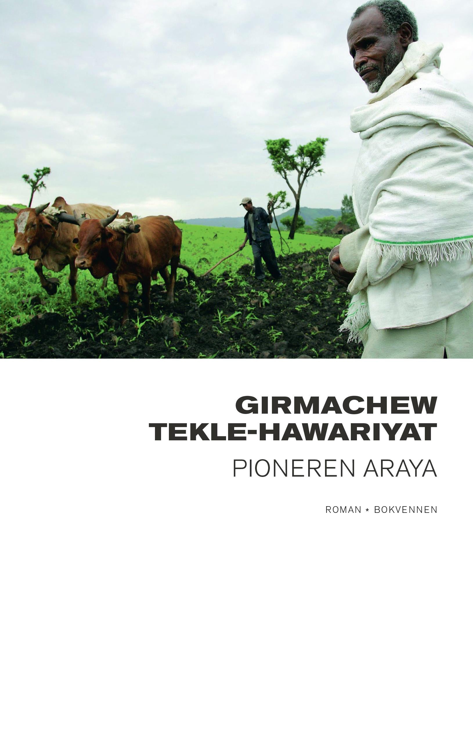 Pioneren Araya: en roman om Etiopia på leting etter fornyelse