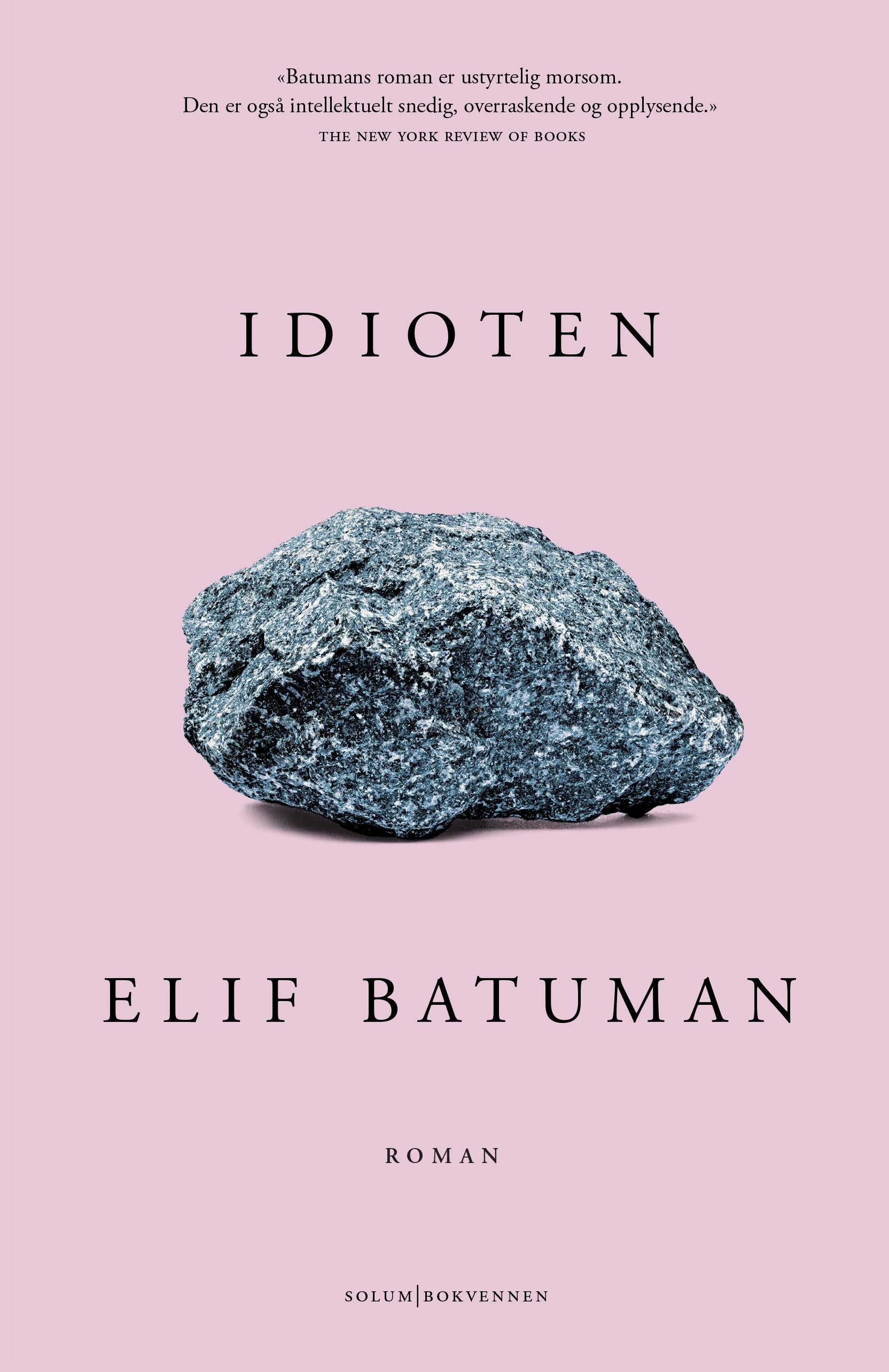 Idioten: roman