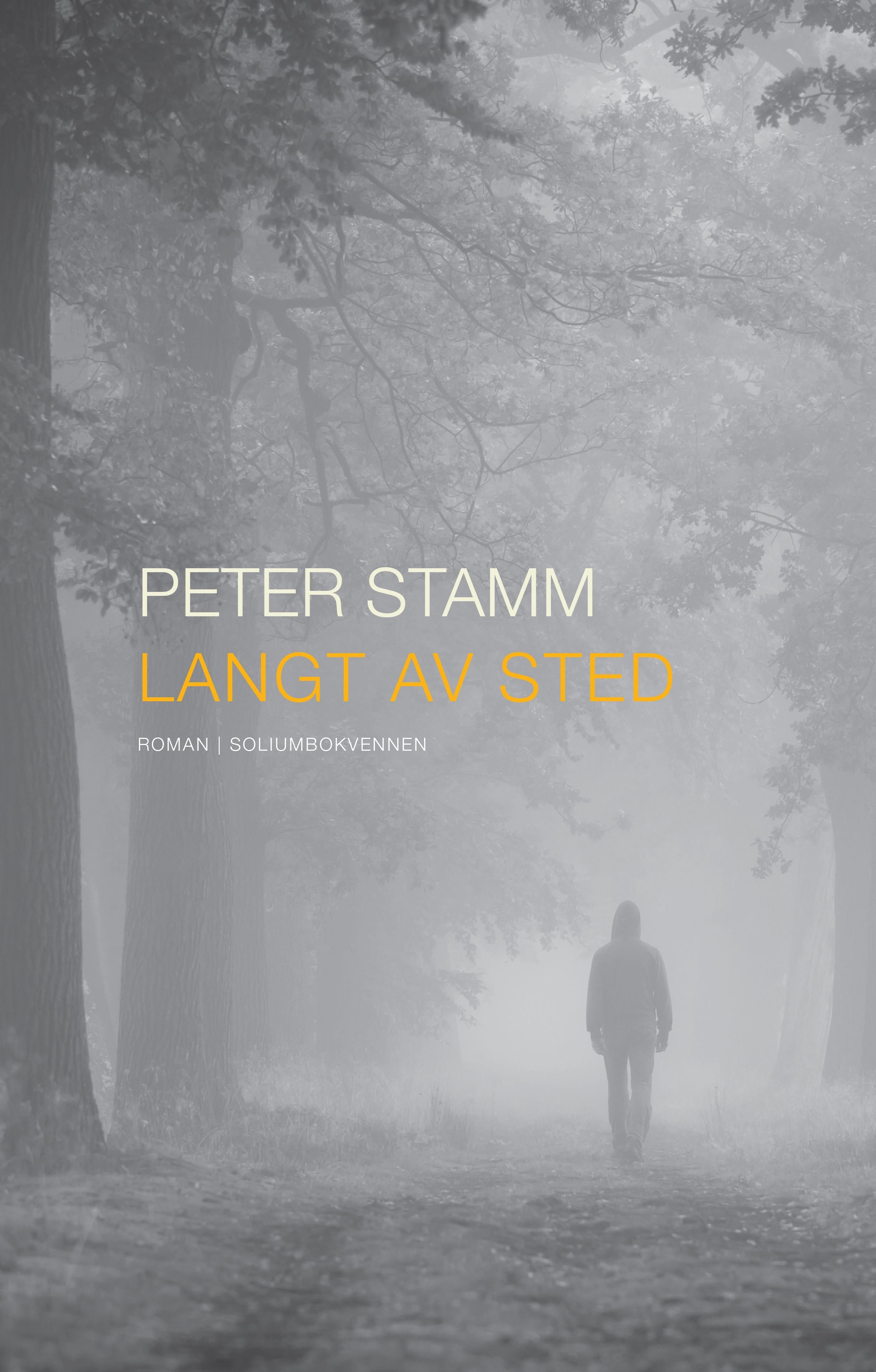 Langt av sted: roman