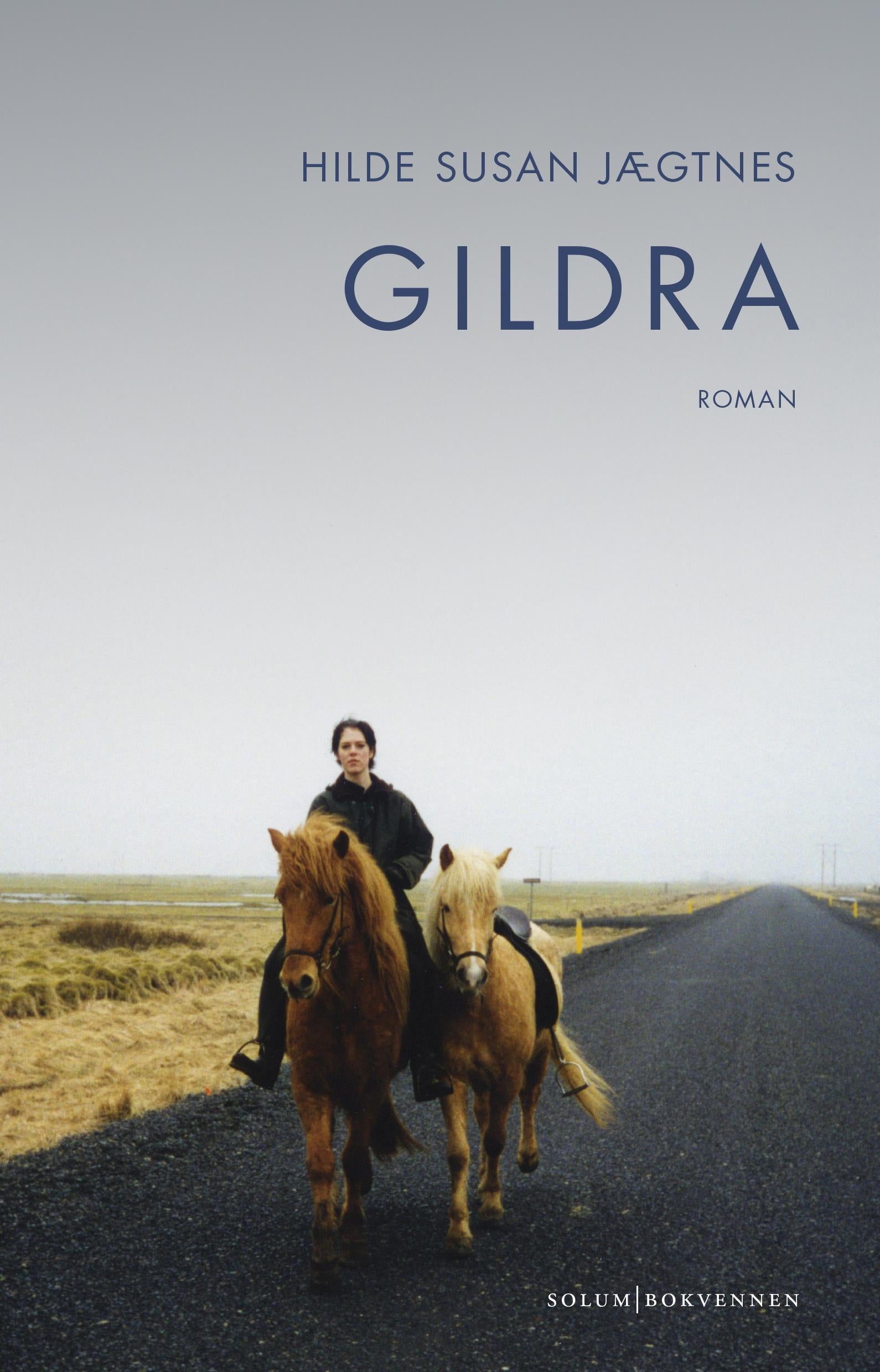 Gildra: roman