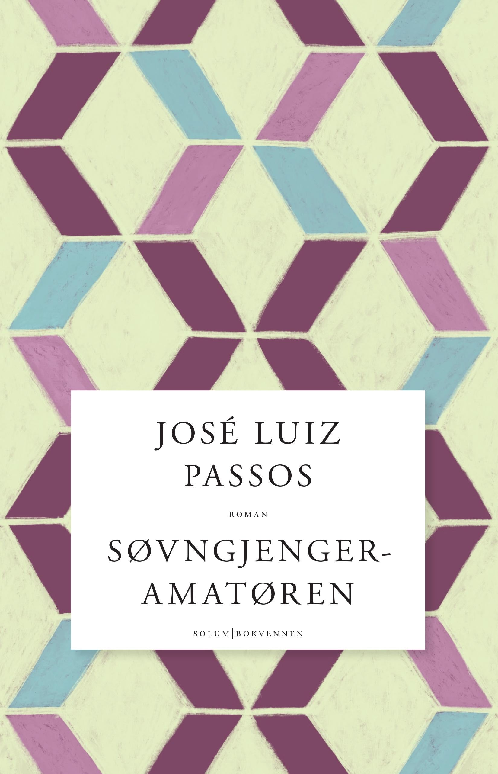 Søvngjengeramatøren: roman