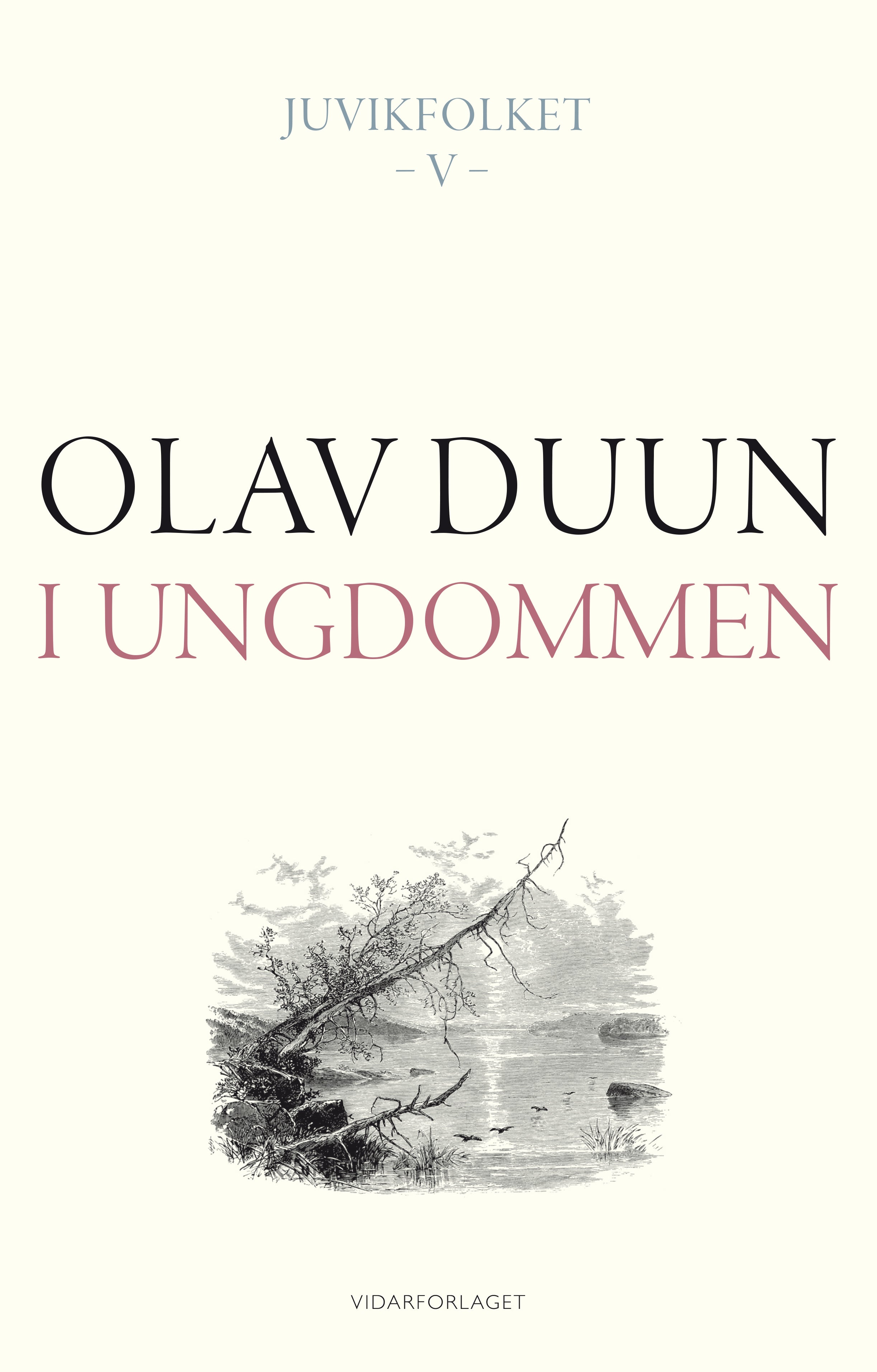 I ungdommen: roman