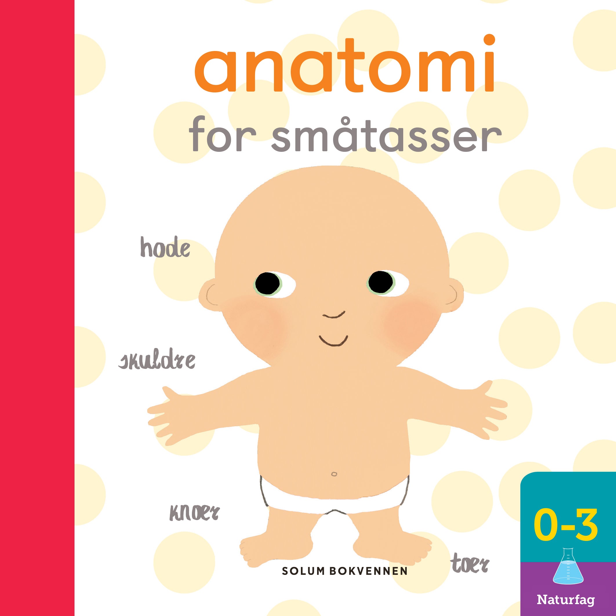 Anatomi for småtasser