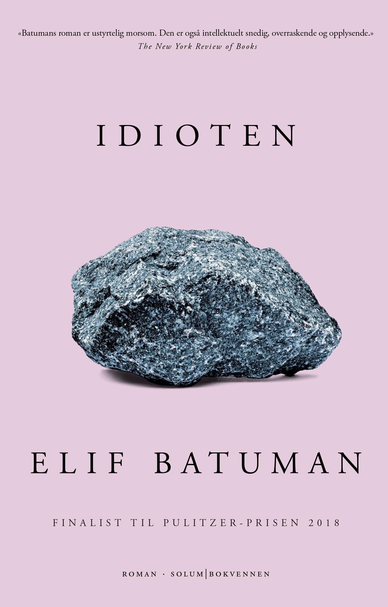 Idioten: roman