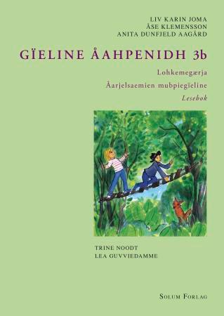 Gïeline åahpenidh 3b: lokhemegærja: åarjelsaemien mubpiegïeline: lesebok