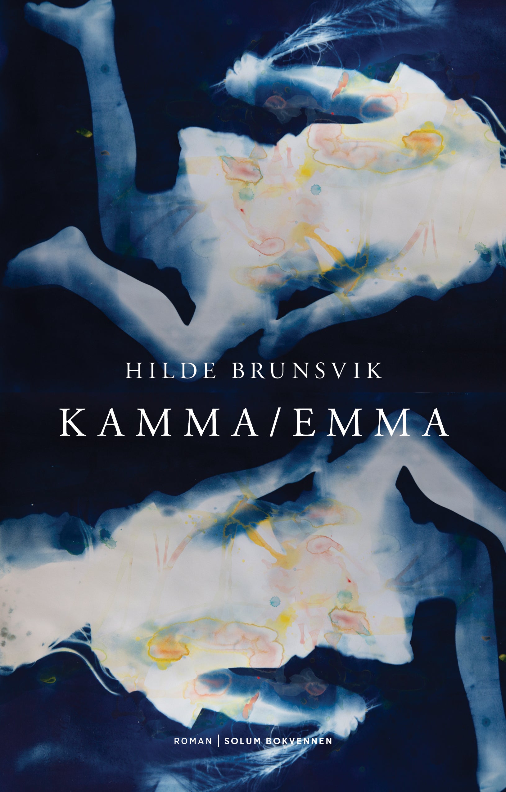 Kamma/Emma: roman