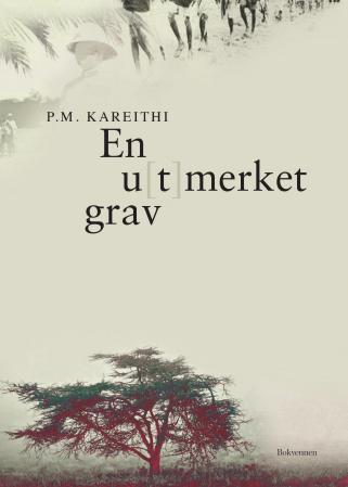 En u(t)merket grav: afrikanere i europeisk skole : roman