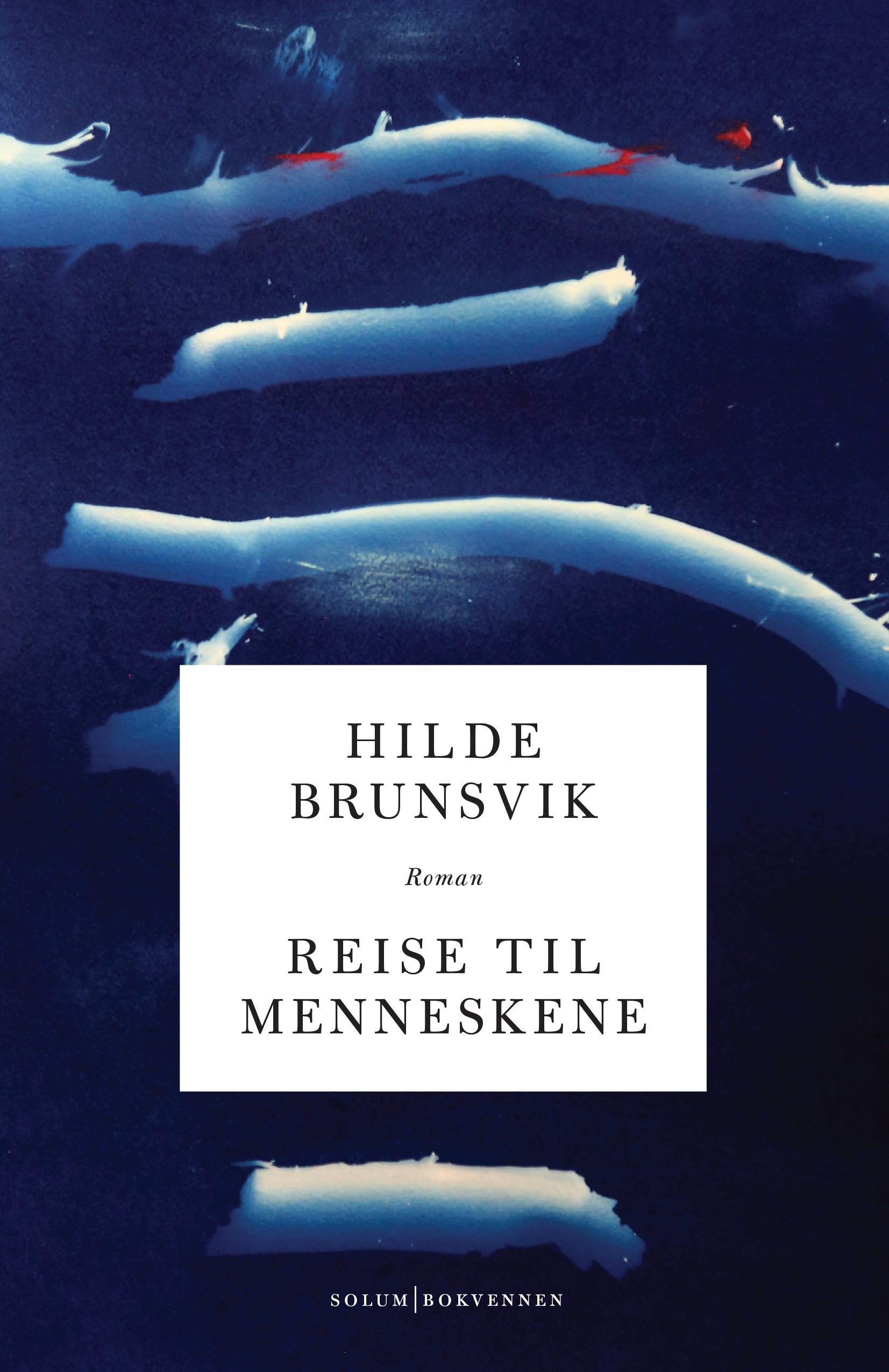 Reise til menneskene: roman