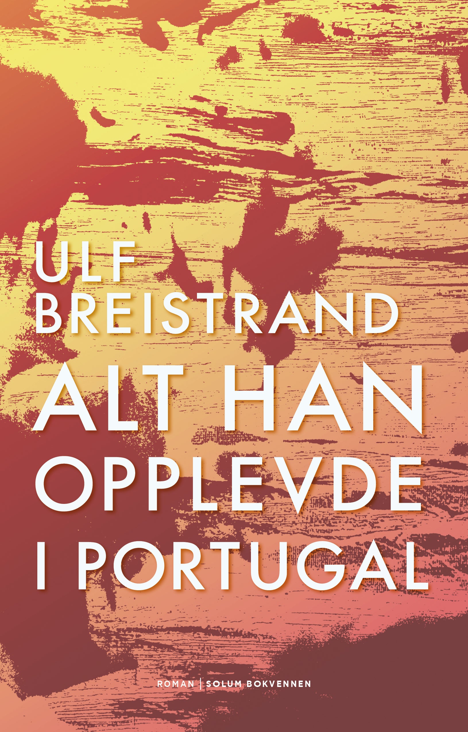 Alt han opplevde i Portugal: roman