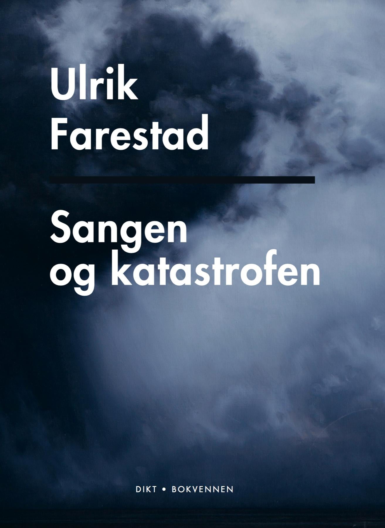 Sangen og katastrofen: dikt